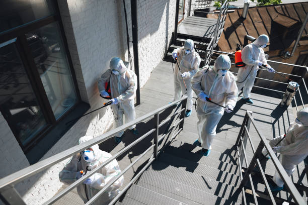 Best Mold Prevention Services  in Harrisville, UT