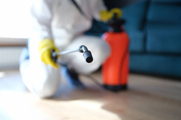 Biohazard Mold Removal in Harrisville, UT